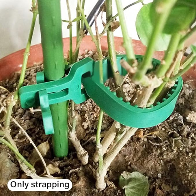 GEZICHTA 10 PCS Tree Stake Support Bands, Heavy Duty Adjustable Interlock Tree Plant Ties, Reusable Garden Plants Shrub Ties 9.4 inch(Green), free size