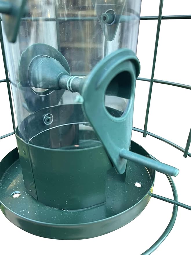 Garden Guru Squirrel Proof Bird Feeder – Outdoor Caged Tube Hanging Bird Feeder with 4 Perches for Small Wild Birds – Premium Coated Steel & Metal Seed Guard - Chew Proof, Weather Resistant