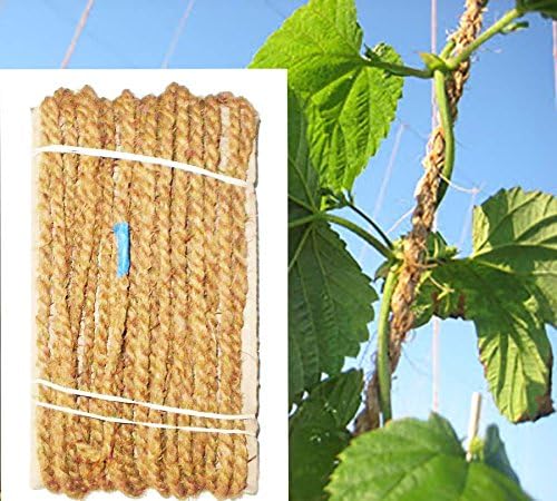 Coconut Fiber Twine Made of 100% Natural Coconut Fiber,Weight per Hank is 1 Lbs,and Length is 200 Feet