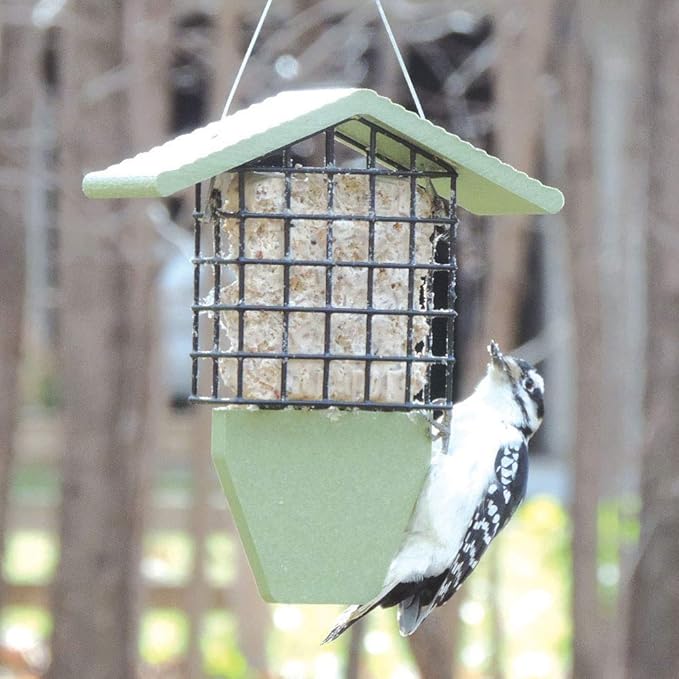 Birds Choice Suet Feeder with Tail Prop, Holds 1 Suet Cake | Hanging Suet Bird Feeder with Roof for Woodpeckers, Jays, Nuthatches | Sturdy for Garden & Backyard | Sea Salt, 8.75" L x 3" W x 10" H