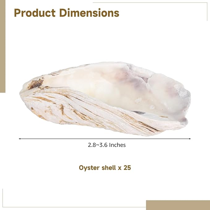 Homaisson 25 PCS Oyster Shells for Crafts, 2.8"-3.6" Oyster Shell for Decor, Natural North Sea Origin, Natural Design, Ideal for Aquarium Landscaping, Crack-Free Surface