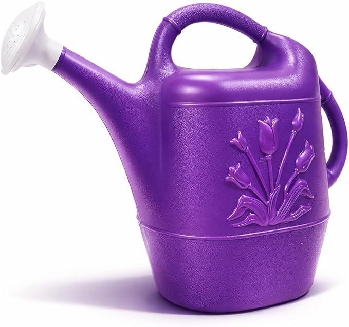 PMU 2 Gallon Watering Can - Garden Watering Can for Indoor & Outdoor Plants - Plastic Water Can with Detachable Sprinkler Head - Large Water Pot, Made in USA - Purple Pkg/1