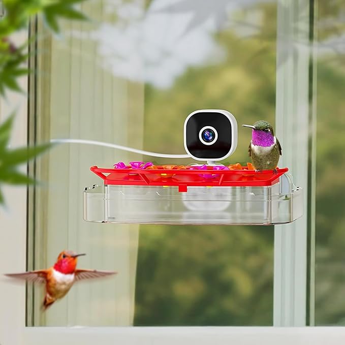 Smart Window Hummingbird Feeder with Camera & AI, 2K HD Live View, Ant Moat & Secure Suction Mount - The Ultimate Gift for Humming Bird Lovers