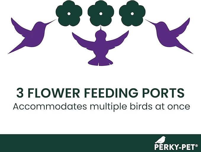 Perky-Pet Plastic Window Mount Hummingbird Feeder with Perches - 8 oz Hummingbird Nectar Capacity, 217 - Hummingbird feeders for outdoors