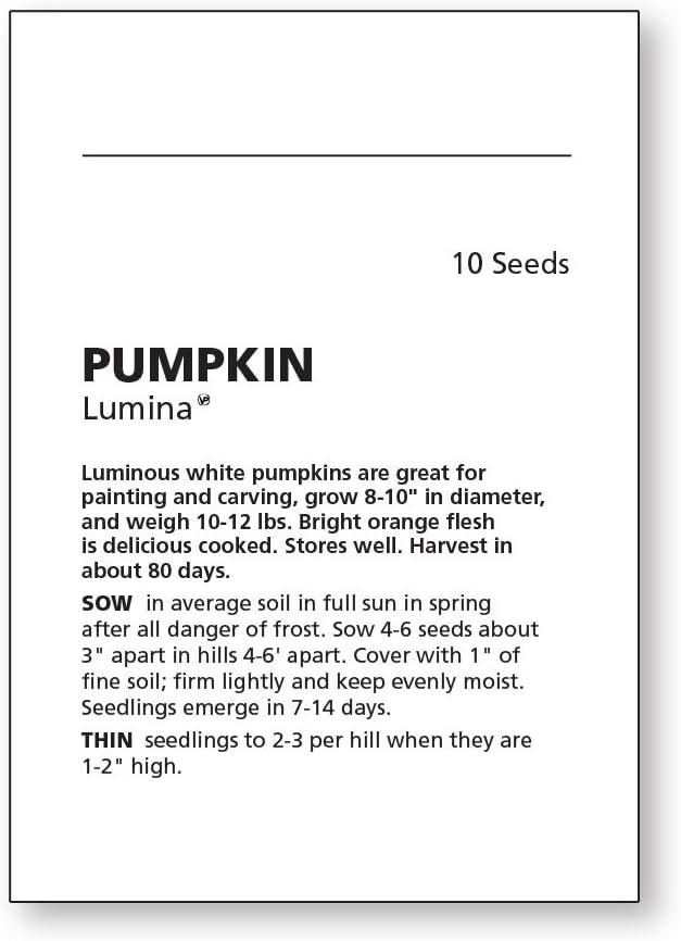 Burpee Lumina Pumpkin Seeds 10 seeds