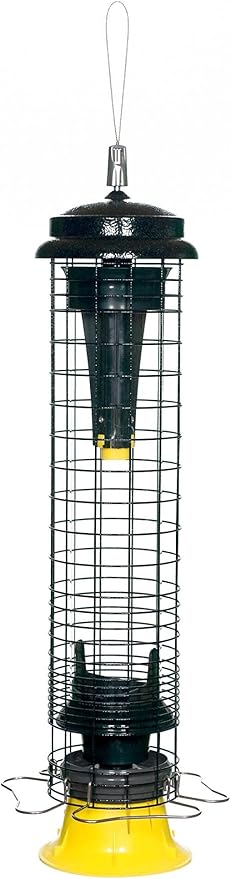 Brome Squirrel Solution 150 Squirrel-Proof Bird Feeder for Wild Birds – 4 Stainless Steel Perches, 2.6 lb Seed Capacity, Chew-Proof, Free Seed Funnel Included