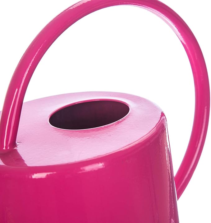51 Ounce/1.5L Watering Can for Indoor and Outdoor Plants - Long Spout Water Can for Garden, Flower, House Plants, Decorative Watering Can(Rose)