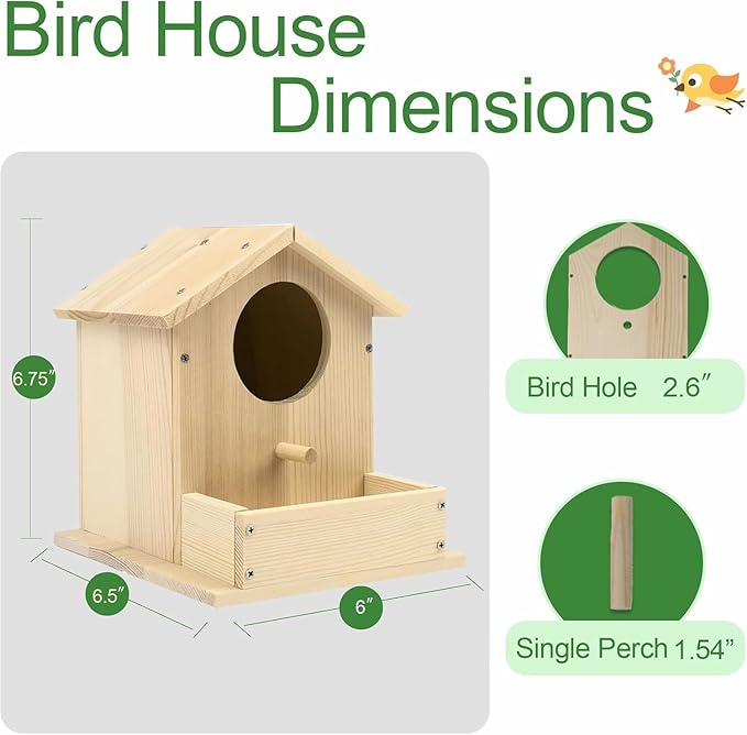 Bird House Kits for Adult, Wooden DIY Birdhouse Kit, Outdoor Woodworking Crafts Freestyle Painting, Arts and Crafts Projects with Paints & Brushes, Hanging Birdhouse for Garden Yard Decor Gifts (1Pcs)