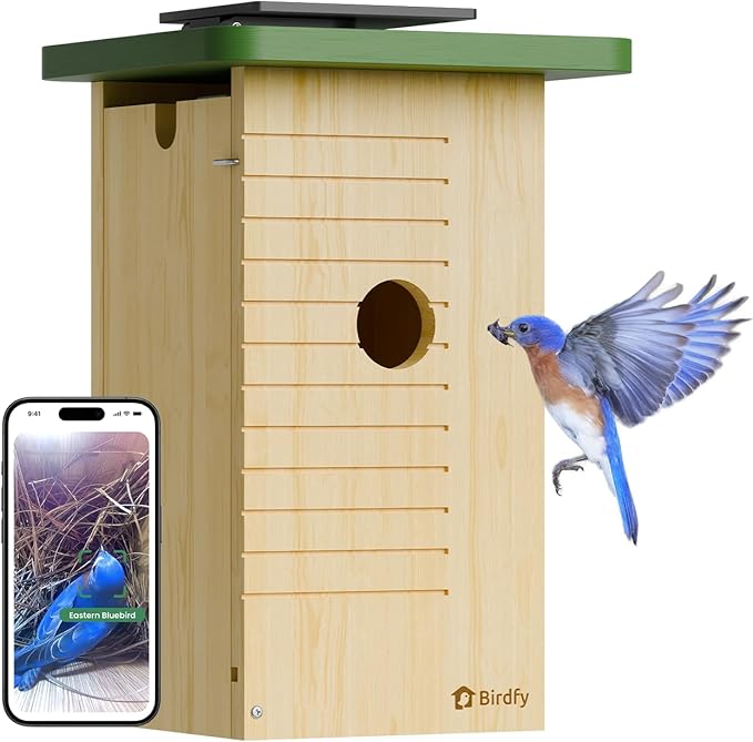 Birdfy Smart Bird House with Camera Solar Powered, 1080HD Live Video & Night Vision for 24/7 Nesting Recording, Auto Detect & Notify, Ideal Nature Gift for Bird Lovers, AI Identify Lifetime Free