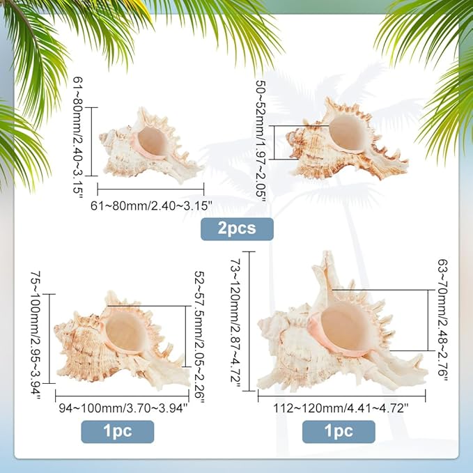PH PandaHall 4pcs Conch Sea Shells, 2.4-4.7inch Natural Beach Seashells Succulent Planters Decorative Holder for Vase Filler Fish Tank Aquarium Home Garden Table Decor Beach Theme Wedding Party