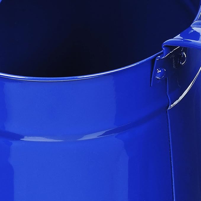 Metal Outdoor Watering Can, 1.2 Gallon Galvanized Steel with Sprinkler Head – Blue