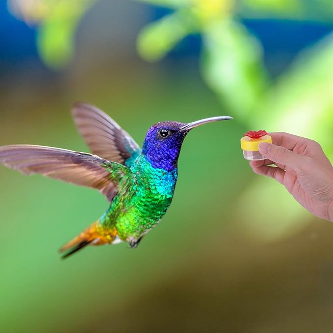 Hand Held Hummingbird Feeder, 4Pcs Hummingbird Hand Feeders with 4Pcs Cleaning Brushes Wild Bird Feeder for Window Outdoor