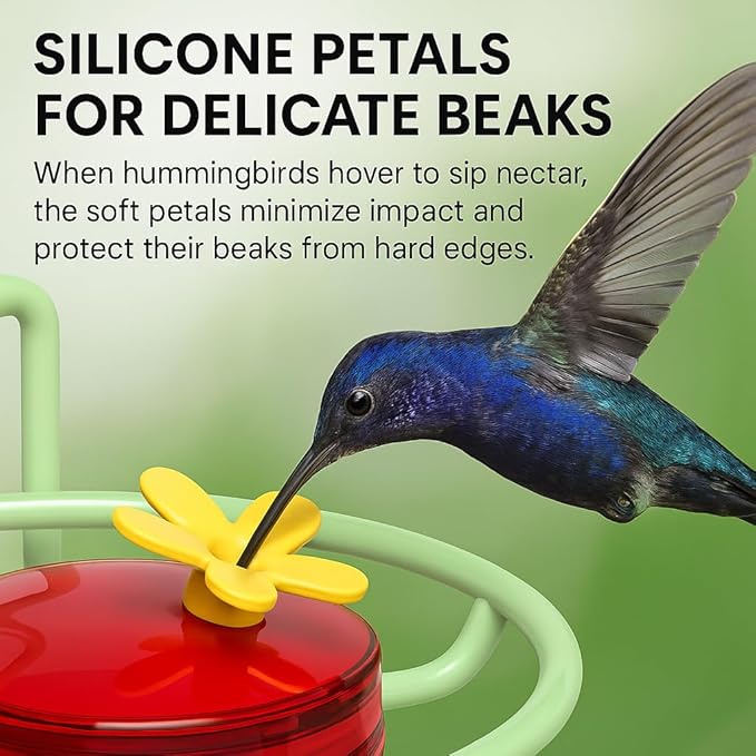 Window Hummingbird Feeder, Small Hummingbird Feeder for Outdoors with Strong Suction Cup - Metal Base & 6 Feeding Ports, Easy to Clean and Refill