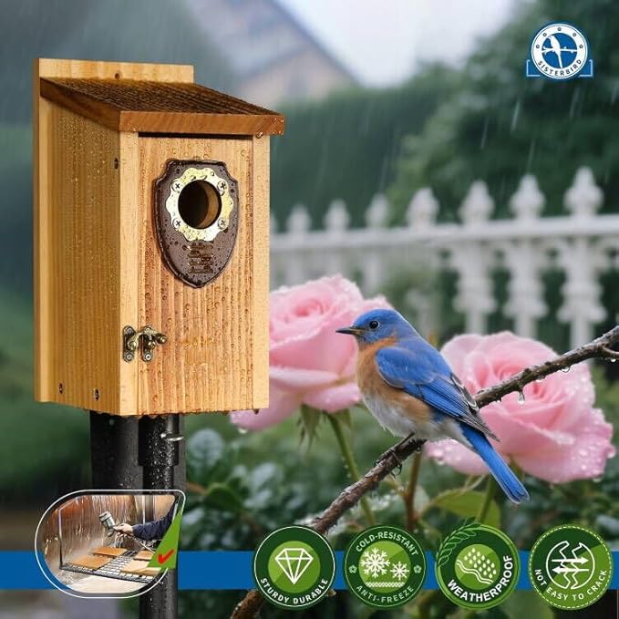 Pack of 2 Bluebird Houses for Outside, Premium Wooden Bird House, Bluebird House for Outdoor, Courtyard Decoration Bird Nest, Bluebird Finch Swallow Wren Chickadee