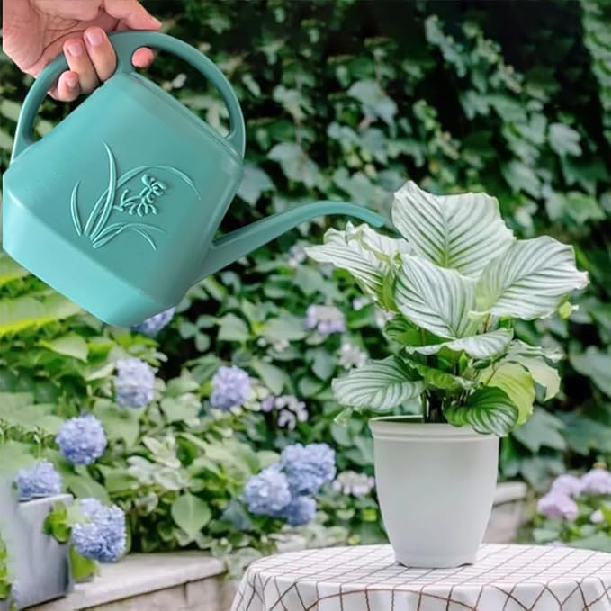 Watering Can for Indoor Outdoor Plant Plants Garden - 1/2 Gallon - Green