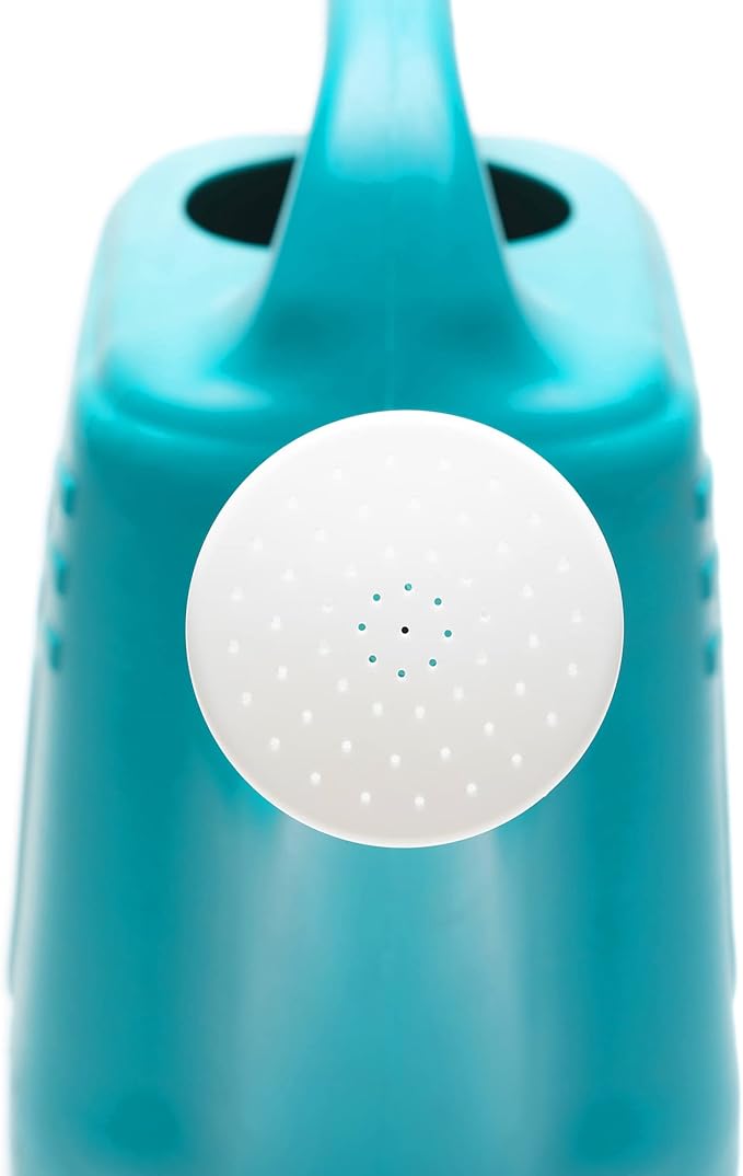 Bloem Classic Watering Can: 2 Gallon Capacity - Bermuda Teal - Durable Resin, Removable Nozzle Spout, Easy to Handle, Wide Mouth, for Indoor and Outdoor Use, Gardening
