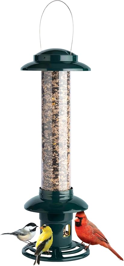 Squirrel Buster Evolution Truly Squirrel-Proof Bird Feeder, Double Cardinal Ring, 1.9-Pound Seed Capacity, Green