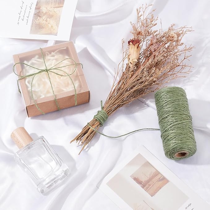 328 Feet/100M 1mm Jute Twine String Garden Rope Jute Cord 1 Ply Sea Green Craft Jewelry Beading Cord Thread for Bracelets Braiding Gift Wrapping Decoration Gardening Climbing Plant Crafts
