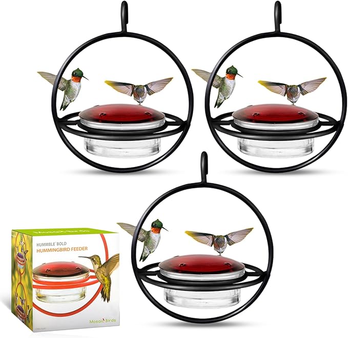Hummingbird Feeder for Outdoors Hanging, 3.4 OZ Hummingbird Feeders, Glass Bowl with 4 Feeding Ports, Leak Proof Lid & Circular Perch, Bird Feeder (1, Black)