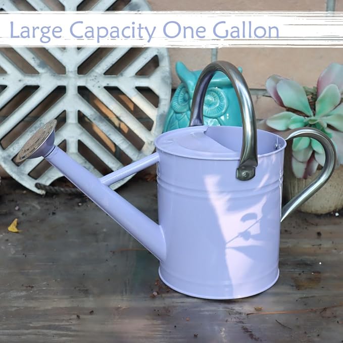 Metal Watering Can 1 Gallon with Removable Spout, Ideal Plant Watering Can for Indoor and Outdoor Plants (1 Gallon Purple)