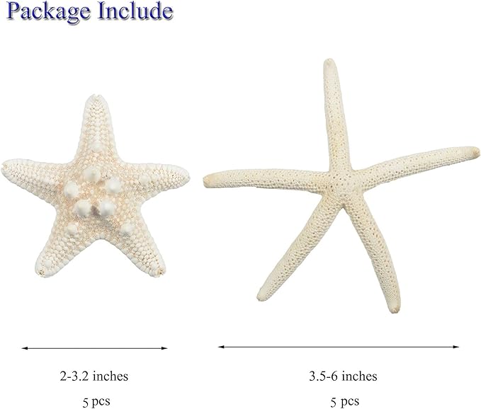 Jangostor 12 PCS Starfish 2-6 Inch Mixed Starfish Natural Seashells Starfish Star Fish Shells Decorations Perfect for Wedding Decor Beach Theme Party, Home Decorations, DIY Crafts, Fish Tank