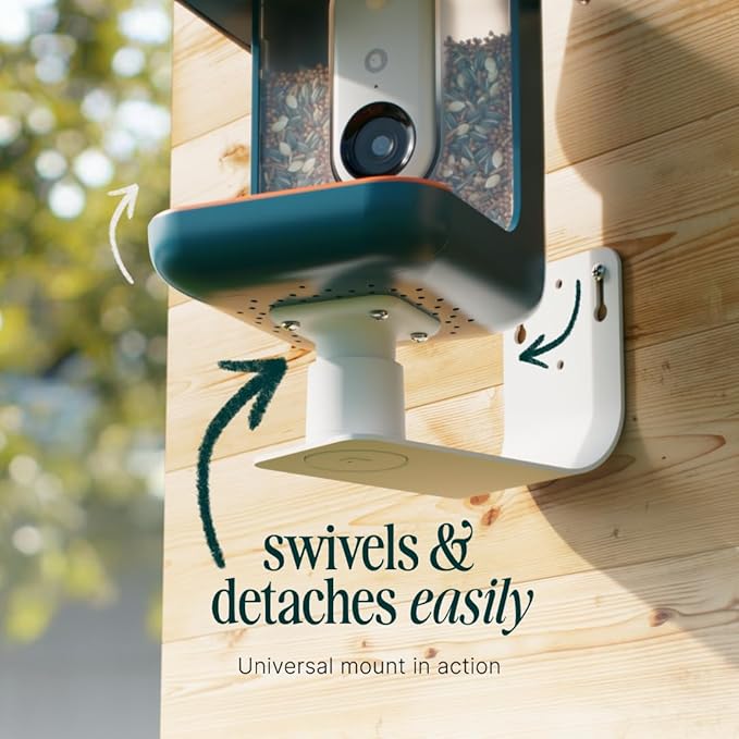 Birdbuddy Wall Mount - Versatile Bird Feeder Wall Mount for Wall & Fences - Durable, Weather-Proof Heavy Duty and Secure & Stylish Outdoor Feeder Accessory
