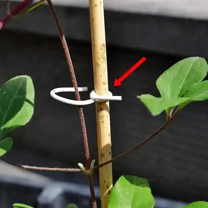 65.5 Feet Twist Ties for Climbing Plants Green Gear Ties Garden Plant Wire Outdoor & Indoor Plants Supporting Tree Tomatoes Vegetables Tape (Diameter - 2.5MM)
