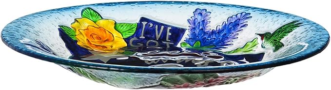 Evergreen Garden Texas Soul Glass Bird Bath - 18 x 2 x 18 Inches, 64 oz. Outdoor Décor for Your Garden, Patio or Lawn. Bird Lovers Glass Bird Bath or Feeder Dish