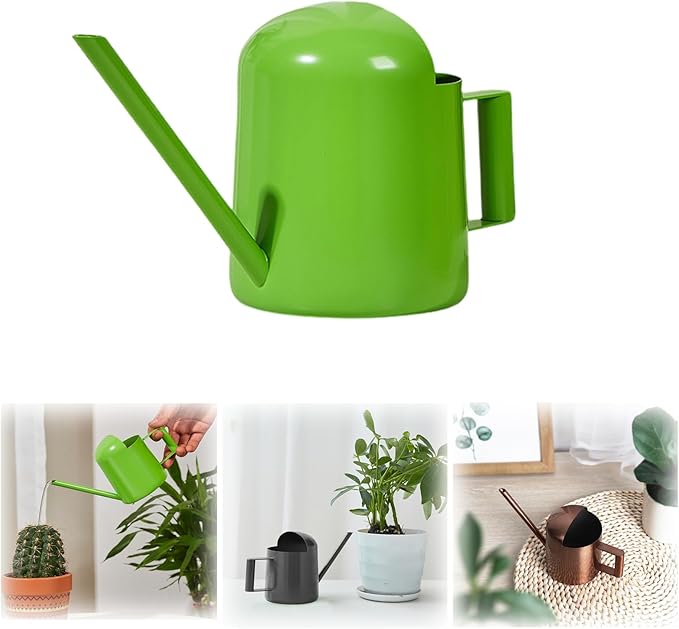 Watering Can for Indoor Plants, Small Watering Cans Sprinkling Pot for Greenhouse Garden Flower Plants, Stainless Steel Long Spout Water Can for Outdoor Watering Plants, 300ML/0.08 Gallon (Green)