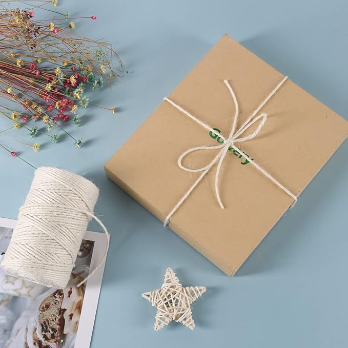 Vivifying 3mm White Twine, 328 Feet 3Ply Natural Jute Twine String for Crafts, Wedding Decoration, Arts, Gift Wrapping, Packing and Hanging