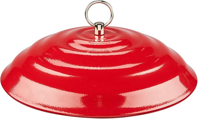 Kingsyard 11 Inch Metal Weather Protective Dome, Large Rain Guard Cover, Hanging Baffle for Outdside Bird Feeders, Rust Proof & Easy to Clean, Red