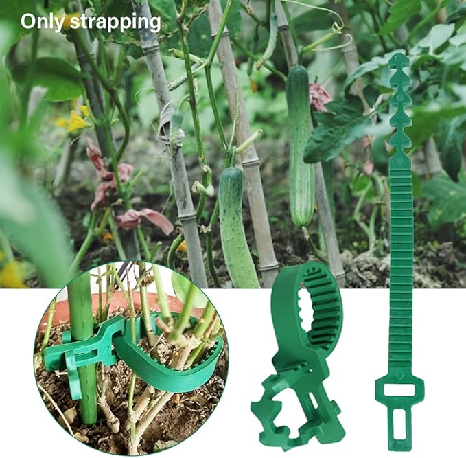 GEZICHTA 10 PCS Tree Stake Support Bands, Heavy Duty Adjustable Interlock Tree Plant Ties, Reusable Garden Plants Shrub Ties 9.4 inch(Green), free size