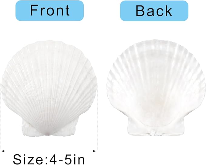 10PCS Large Natural Scallop Shells, 4''-5'' Large Shell for Crafts, DIY Painting, Baking and Beach Wedding Decorations - Large White Seashells Bulk for Ocean Themed Parties and Home Decor