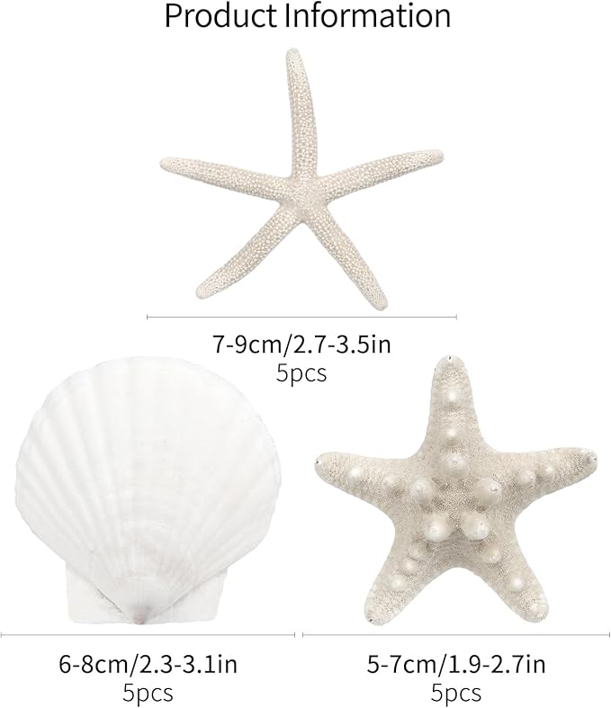 15 PCS Starfish and Scallop Shells, 2"-4" Natural Seashells White Seashells Large Seashells for Crafts Wedding Decor Beach Theme Party, Fish Tank and Vase Filler