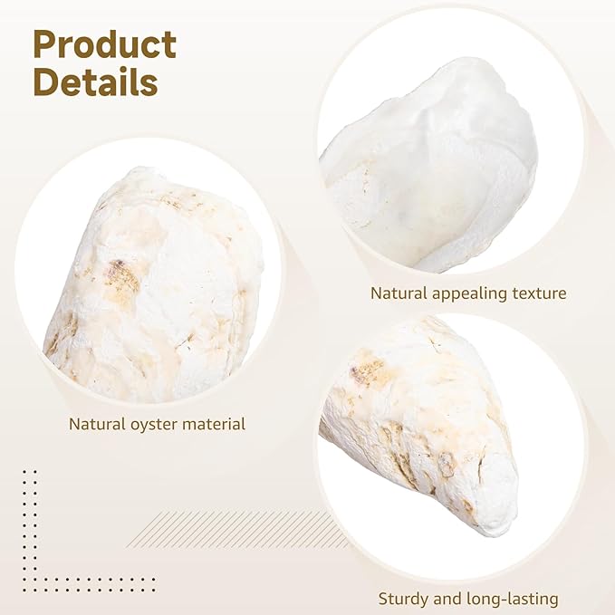 Homaisson 60 PCS Oyster Shells for Crafts, Large Oyster Shells for Decor, Natural North Sea Origin, 4~5 Inches Natural Design, Ideal for Aquarium Landscaping, Crack-Free Surface
