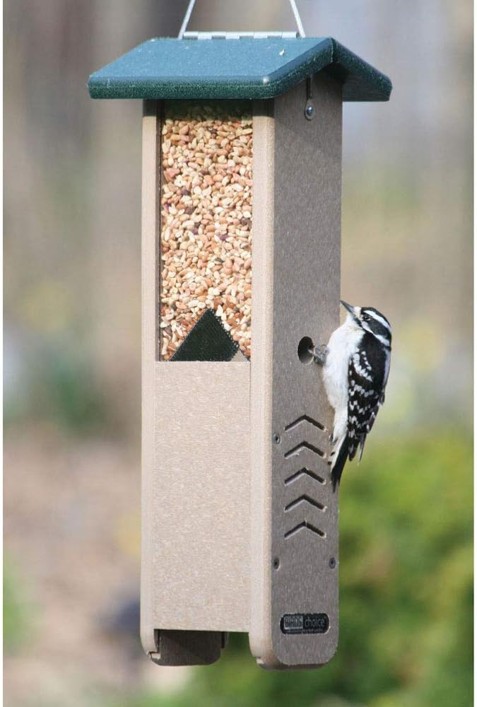 Birds Choice SNWP Peanut and Suet Nugget Bird Feeder, Woodpecker Bird Feeder, 1.25 Quarts, Taupe/Green