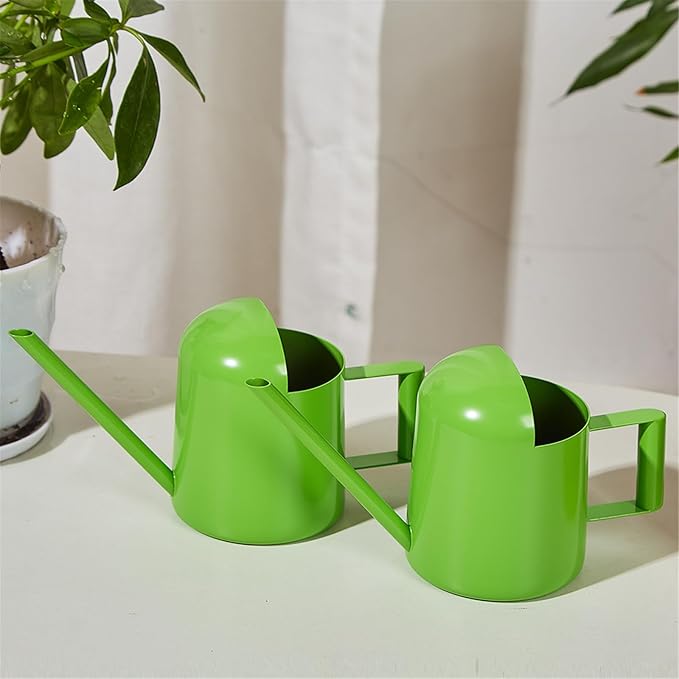 Watering Can for Indoor Plants, Small Watering Cans Sprinkling Pot for Greenhouse Garden Flower Plants, Stainless Steel Long Spout Water Can for Outdoor Watering Plants, 300ML/0.08 Gallon (Green)
