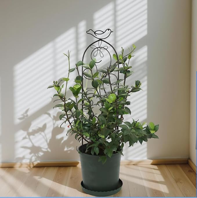 Hosley Set of 2 Iron Wave Pot Trellis 28 Inch H Ideal Gift for Floral Arrangements Wedding Party and Use Next to Structures Home or Office or in Planters for Growing Floral Plants Vines and Vegetables