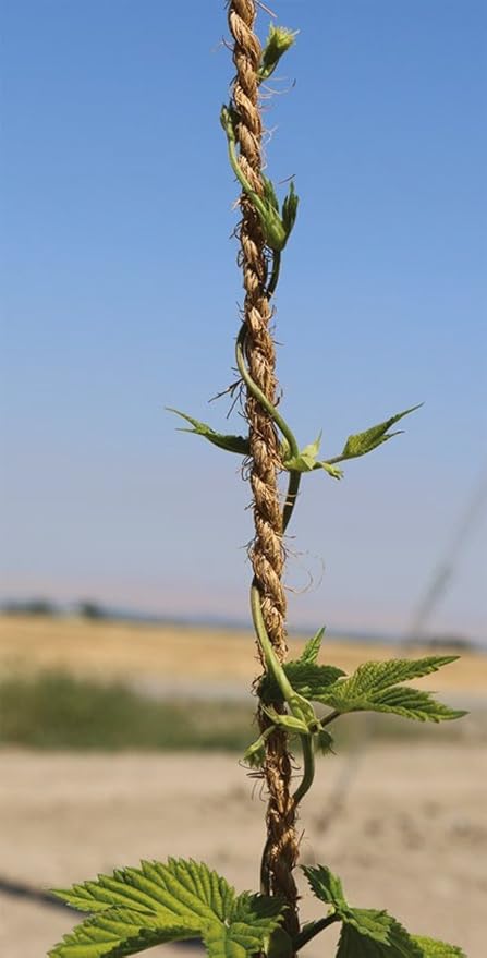 HOP Twine (Garden Twine) 7.5 Lbs per Spool Length +1150 feet,Thickness 5mm 100% Biodegradable