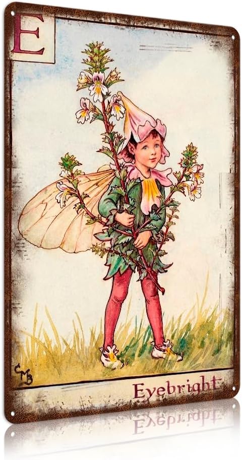 Flower Fairy Wall Decor Vintage Metal Tin Signs Fairy Garden Accessories - Eyebright