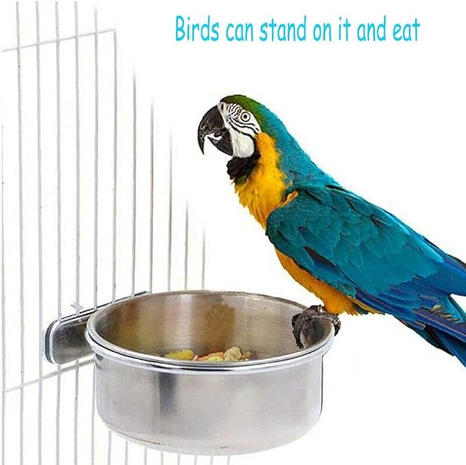 PINVNBY 2PCS Parrot Feeding Cups Birds Food Dish Stainless Steel Parrot Feeders Water Cage Bowls with Clamp Holder for Cockatiel Conure Parakeet Parrot Macaw Small Animal (Size: L)