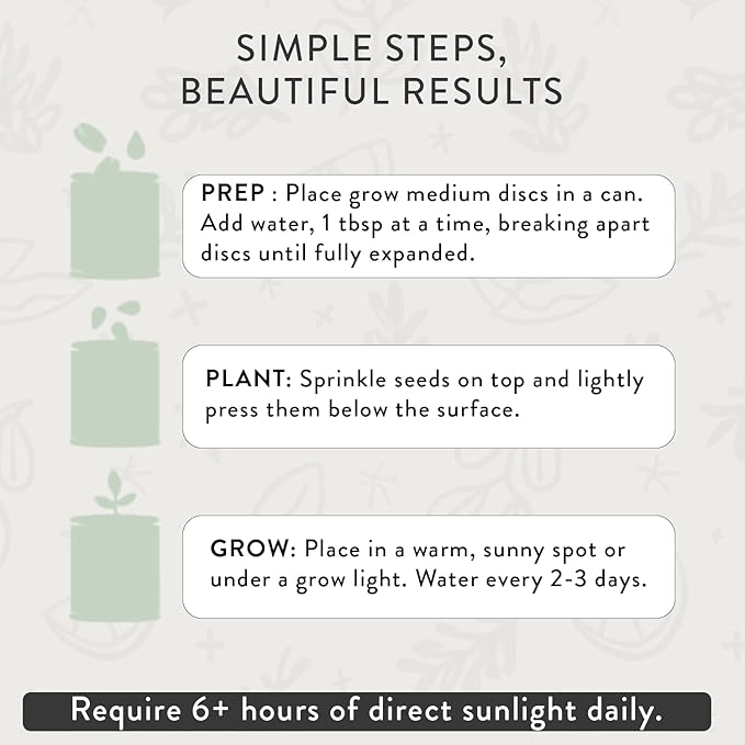 Modern Sprout Complimentary Color Grow Kits (Pack of 6) - Seed Starter Kit - Includes Strawberry, Sunflower, Cactus, Tomato, Melon & Lavender Seeds - Gardening Gifts that Grows with Love