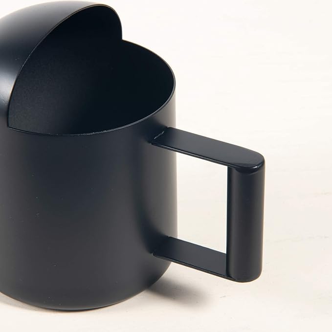 IMEEA Mini Watering Can for Indoor Plants Stainless Steel Small Watering Can 11oz/300ml