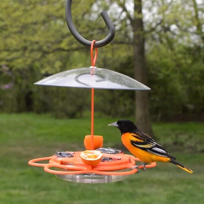 Nature's Way OFP1 All-in- Oriole Buffet Bird Feeder,Orange,(Pack of 6)
