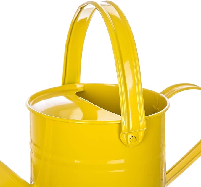 Topadorn Watering Can for Plants, 55 Oz Metal Watering Can with Removable Spout for Indoor & Outdoor Plants, Long Spout Garden Watering Can, Yellow