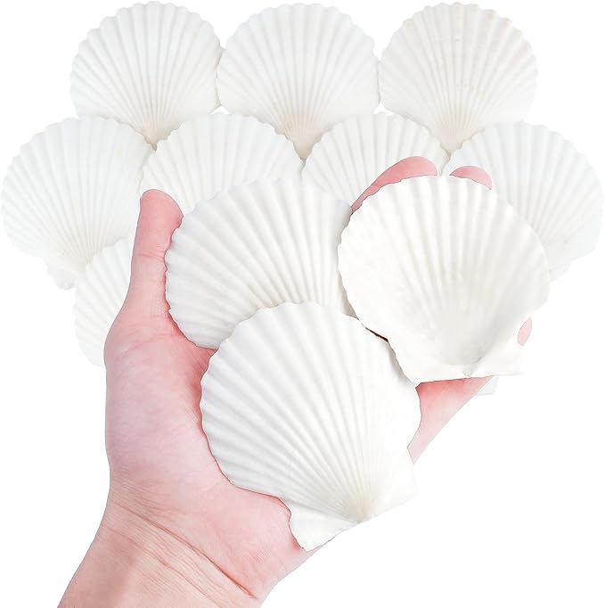 Mkobon 10 PCS Natural Scallop Shells for Crafts, 3 Inch White Seashell Decor for Home, Sea Shells for Decorating, DIY, Painting, Baking, Beach Wedding Decorations