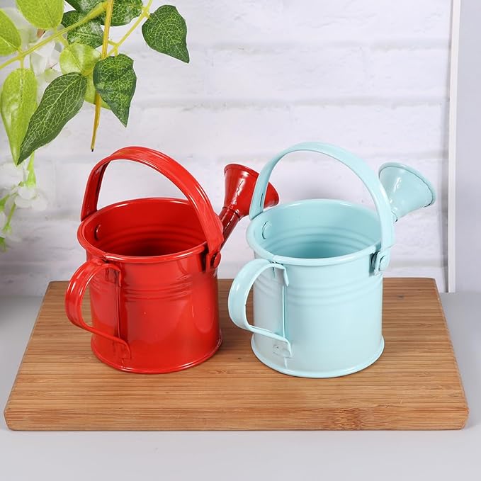 Watering Can Small Watering Can, Metal for Outdoor Plants, Iron Mini for Garden Yarde Home Plants Flower (Red and Light Blue, 2PCS)