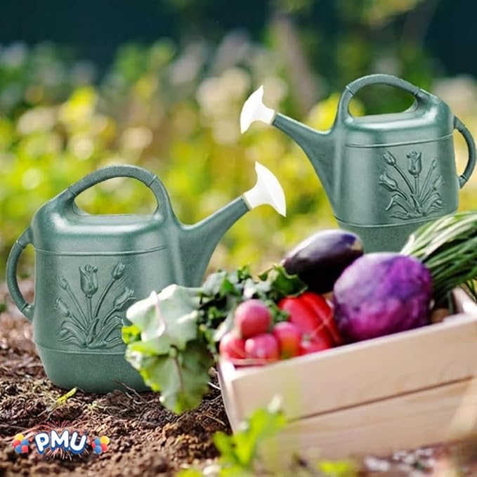 PMU 2 Gallon Watering Can - Garden Watering Can for Indoor & Outdoor Plants - Plastic Water Can with Detachable Sprinkler Head - Large Water Pot, Made in USA - Hunter Green Pkg/6