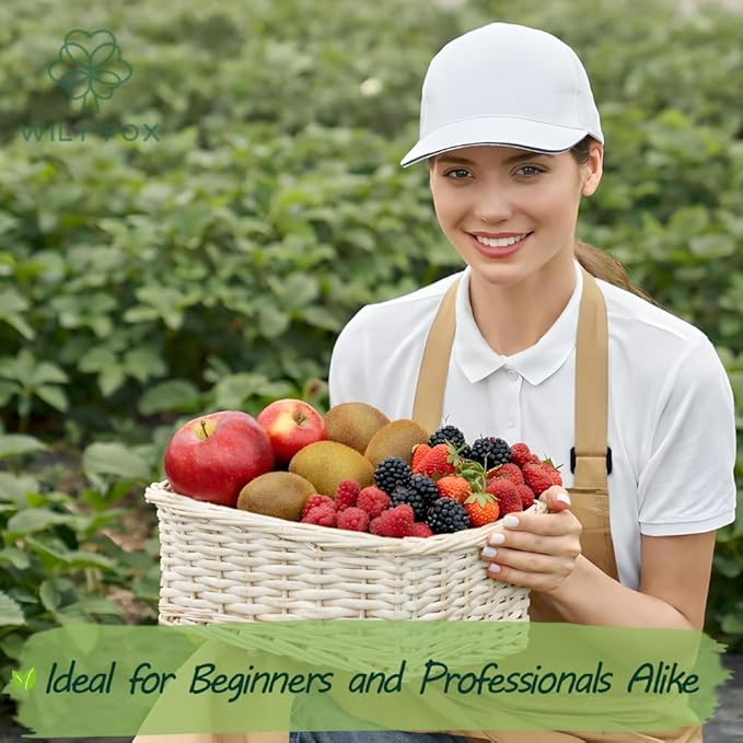 Fruit Seeds Variety Pack for Planting – Strawberry Seeds, Raspberry Seeds, BlackBerry Seeds, Kiwi Seeds for Planting & Apple Tree Seeds – Home Garden Seed Pack