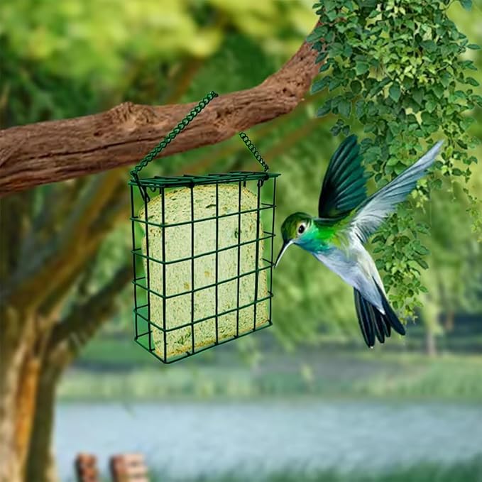Suet Cake Bird Feeder Hanging Wild Bird Feeder for Outdoor Garden Cages Outside Suet Fruit Capacity Feeders (2 Pcs Green)